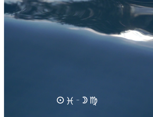 Luna llena en Virgo